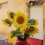 Domaine De Laplan Bed & Breakfast