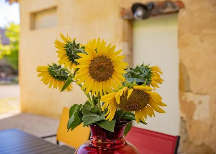 Domaine De Laplan Bed & Breakfast