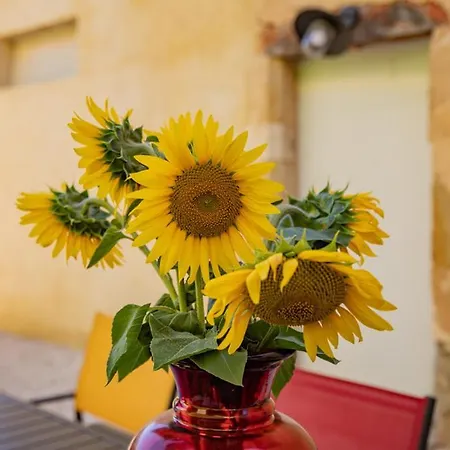 Domaine De Laplan Bed & Breakfast