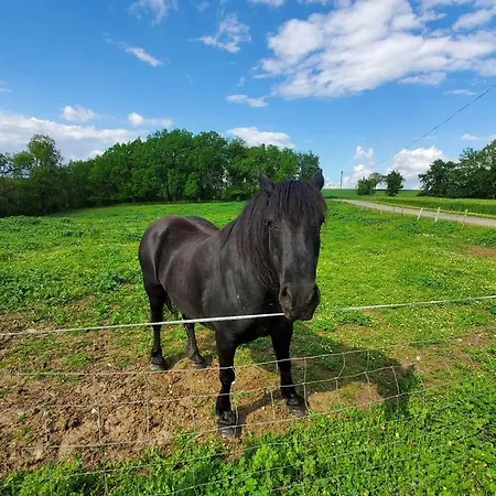 Nocleg ze śniadaniem Domaine De Laplan
