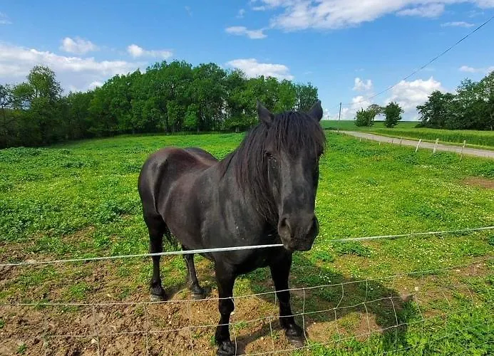 Couette-café Domaine De Laplan